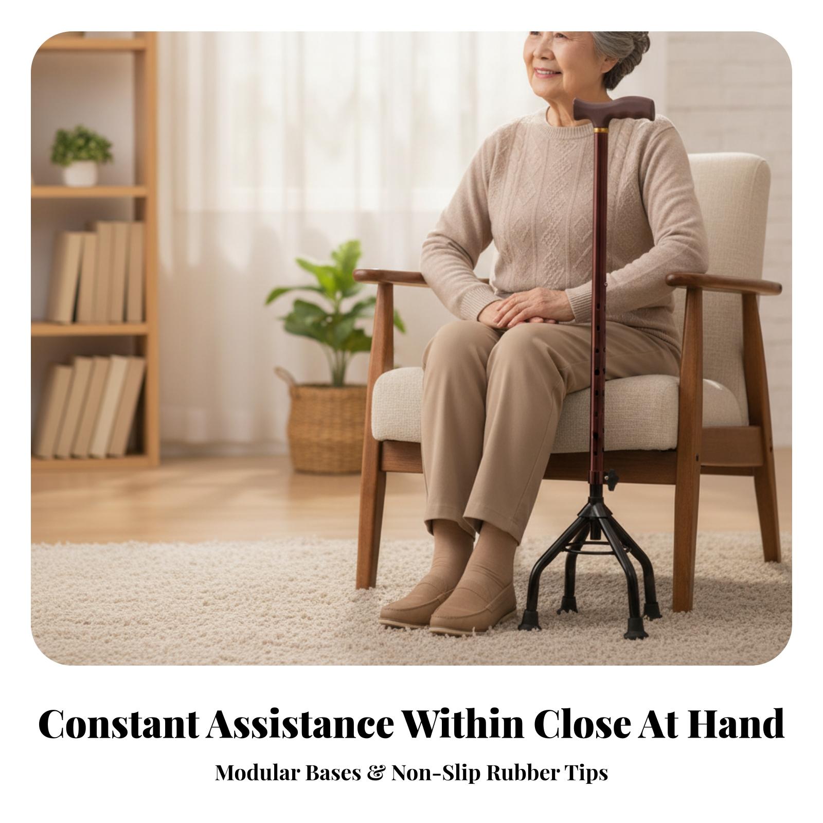 Ergonomic Adjustable Walking S - đánh giá và giá Gripper Foot Walking